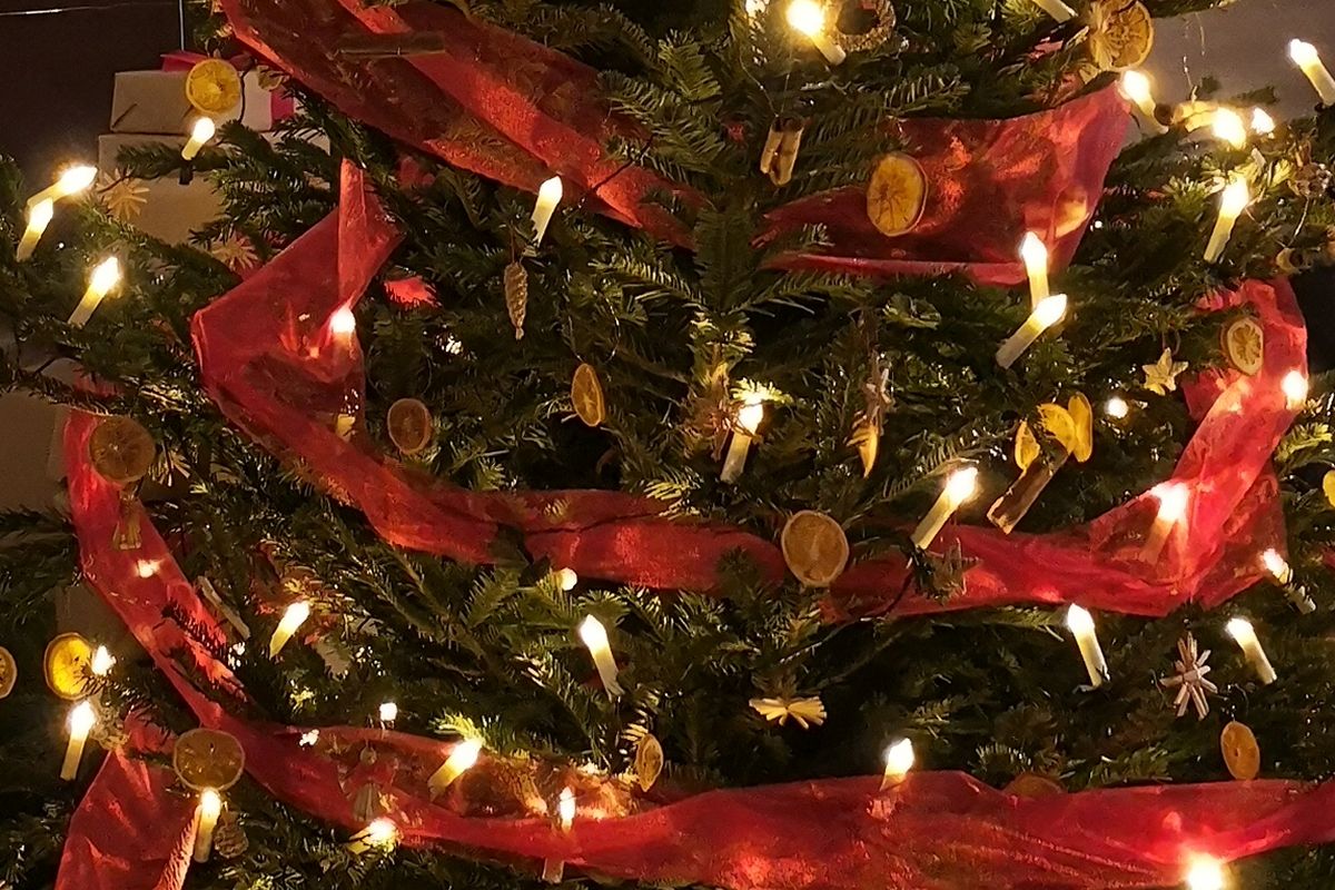 Christmas tree Boatmans cottage holidays Suffolk