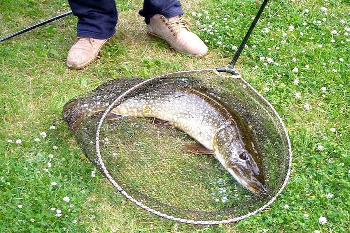 fishing at Boatmans cottage Letheringham Suffolk